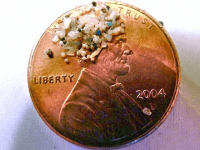 Microbeads (Associated Press)