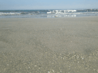 Coronado Beach (Joel Pollak / Breitbart News)