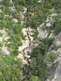 Aerial view of 73 illegal immigrants moving through a Texas ranch