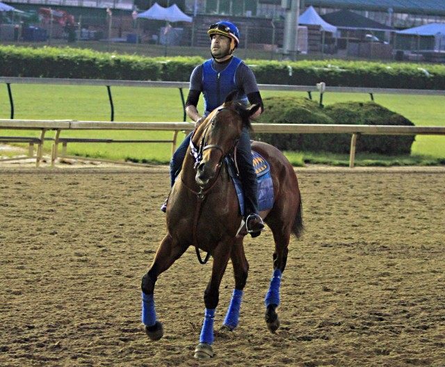 American Pharoah, Jorge Alvarez