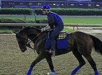 American Pharoah, Jorge Alvarez