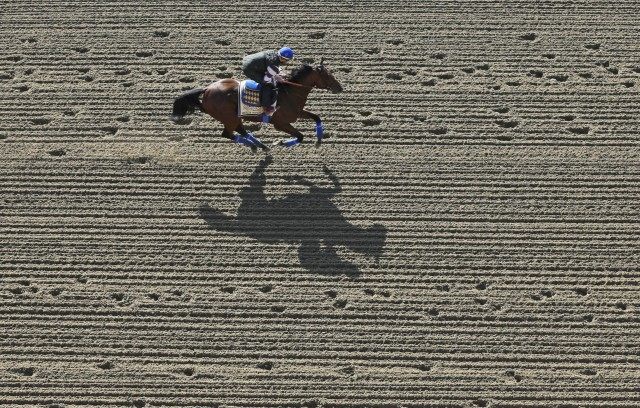 American Pharoah, Jorge Alvarez