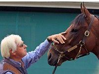 Bob Baffert, American Pharoah