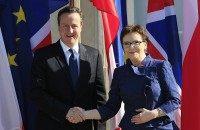 Ewa Kopacz, David Cameron
