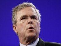 Jeb Bush