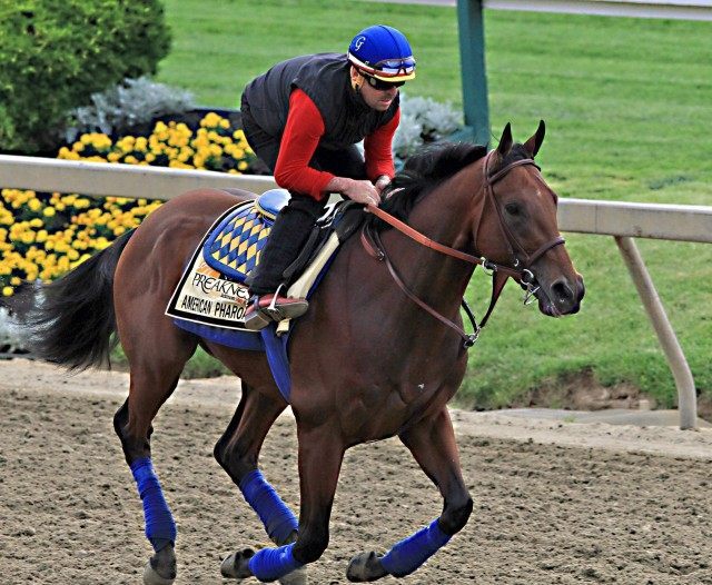 Jorge Alvarez, American Pharoah