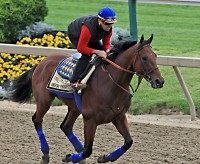 Jorge Alvarez, American Pharoah