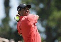 Tiger Woods