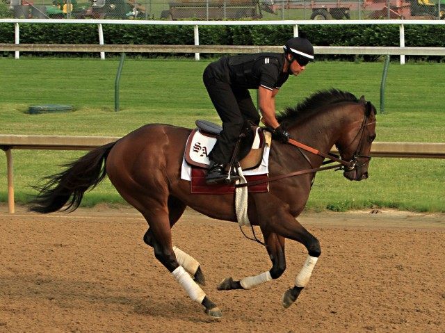 Umberto Gomez, Firing Line