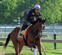 William Cano, Danzig Moon