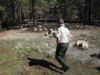 AP Photo/Felicia Fonseca