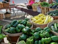 n this photo taken Saturday, Aug. 14, 2010 shoppers go through fresh produce at the Farmers market in Concord, N.H. The Northeast has seen good weather for an early harvest of crops.
