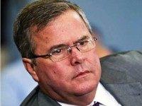 jebbush