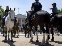 Mounted members of law enforcement gather in front of the White House in Washington, Thursday, May 14, 2015, as part of National Police Week. In 1962, President John F. Kennedy signed a proclamation which designated May 15th as Peace Officers Memorial Day and the week in which that date falls as Police Week.