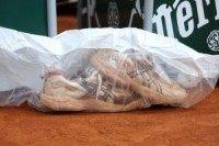 Forensic scientists could use bacteria to catch criminals