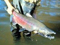 usgs.gov/Public Domain