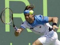 David Ferrer