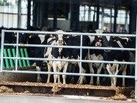 FRANCE-AGRICULTURE-PROTEST