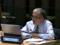 Chris Gunness (Screenshot / UN)