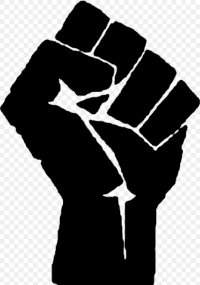 Black Power Fist