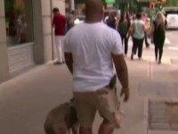 Screen Shot 2015-06-29 at 1.39.33 PM