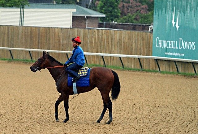 American Pharoah, Martin Garcia