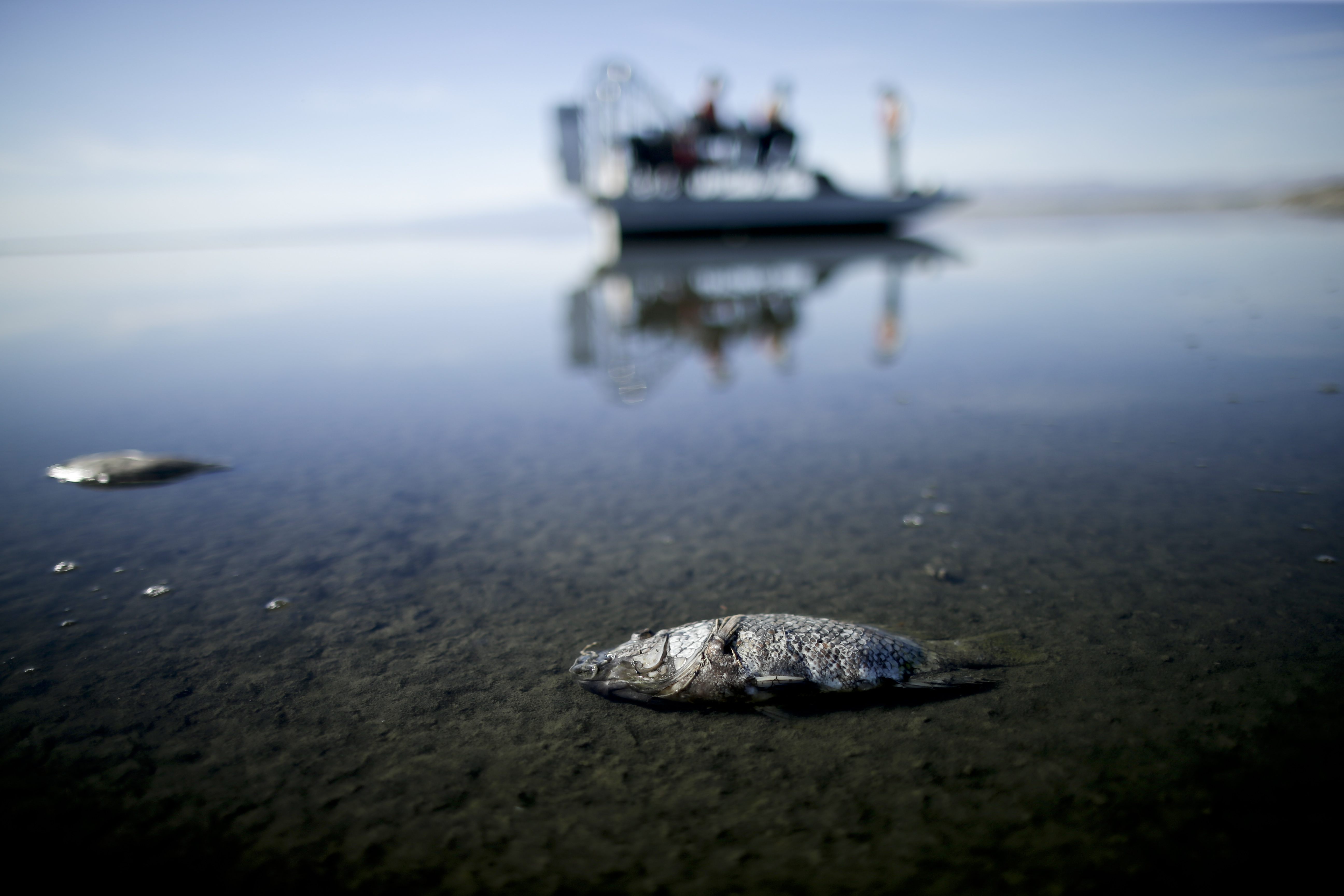 Drought: California's Largest Lake Continues To Disappear | Breitbart