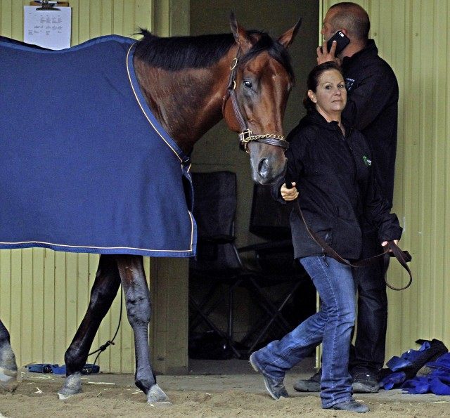 Dana Barnes, American Pharoah