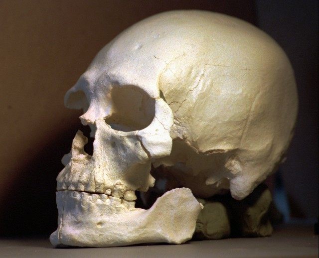Kennewick Man