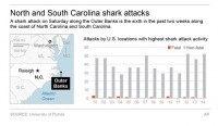 NC SHARK ATTACKS