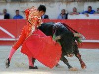 france-bullfight1