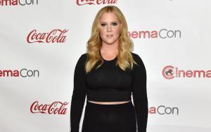 Amy Schumer could become 'The Bachelorette,' host Chris Harrison agrees to her terms