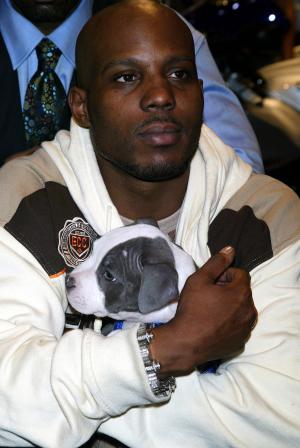 DMX arrested in NYC for allegedly failing to pay $400,000 in child support