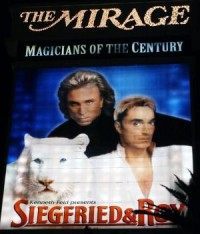 Siegfried and Roy's white lion dies during surgery at Toledo Zoo