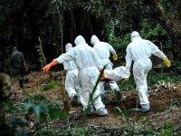Ebola
