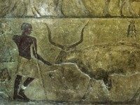 A picture taken on April 27, 2015 shows Egyptian hieroglyphs inside the tomb of Iymery, also known as the priest of king Khufu, during the reopening of the site following renovations, at the great Giza Pyramids, south of the capital Cairo. The cemeteries have been closed since 2007 due to reconstruction work, which stopped following the January 2011 political events, and only resumed six months ago. AFP PHOTO / KHALED DESOUKI