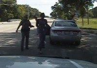 Encinia - Bland - Taser