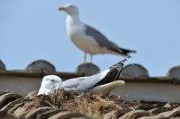 GABRIEL BOUYS/AFP/Getty Images