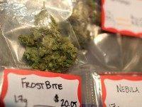 Marijuana sale taxes (Justin Sullivan / Getty)