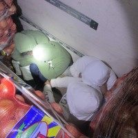 Federal agents caught a group of illegal immigrants hiding in a shipment of onions near the Texas border