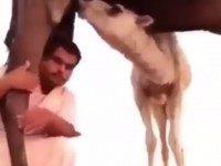 Screen Shot 2015-07-06 at 3.53.01 PM