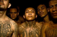 MS-13 Gang Members in US