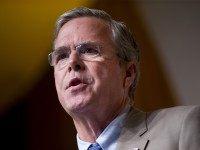 Jeb Bush