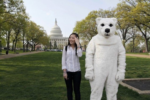 Yuan Yuan Deng, Brian McLeane