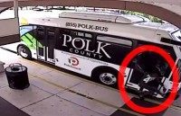 florida-man-bus