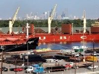 Export Market