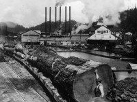 California sawmill (GPA / Getty)