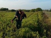 U.S Border Patrol agent carries to safety a woman who had been abandoned by a human smuggler