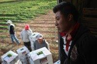 Colorado Farm Suffers As Immigrant Workforce Diminishes