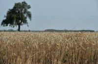 FRANCE-WEATHER-CLIMATE-HEAT